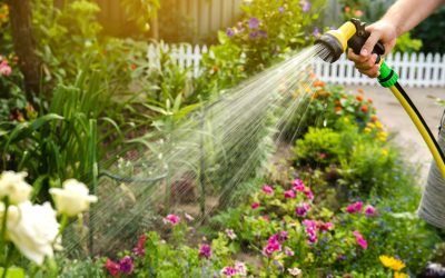 El secreto de un jardín floreciente: Descubra las ventajas de los servicios profesionales de jardinería y mantenimiento
